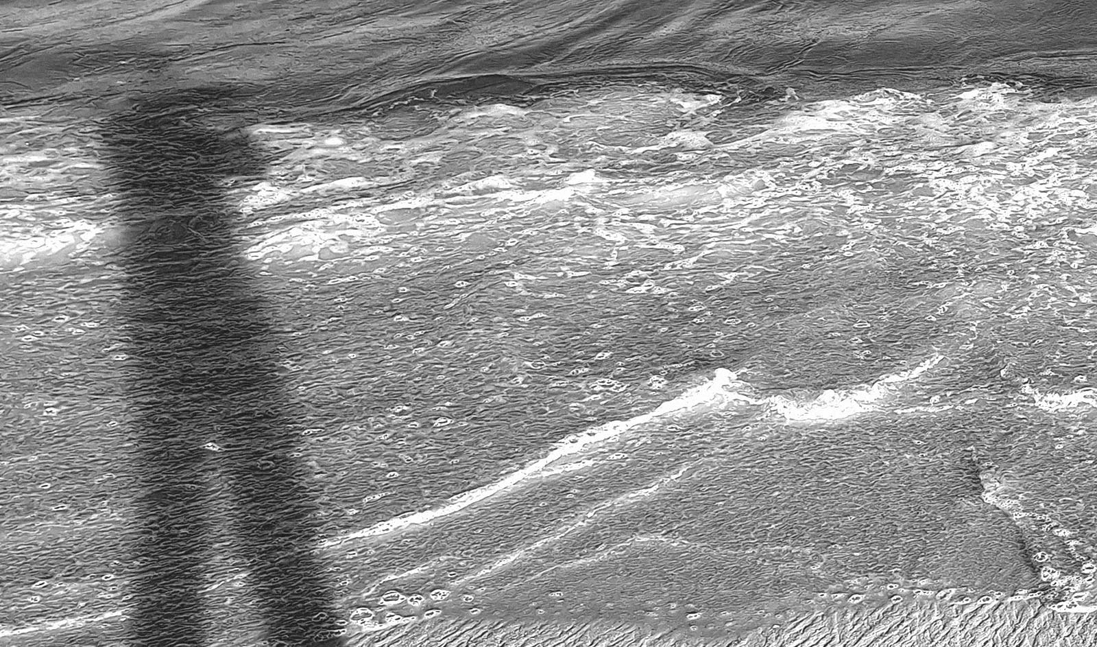 marcus paulista artista calmon stock 03a 1