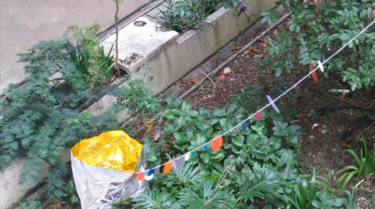 pinturas-e-atos-performativos-maria-palmeiro-reserva-tecnica-calmon-stock-01a