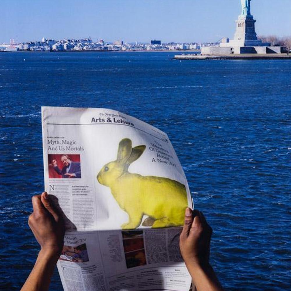 supports fotografia style art calmon stock 01b