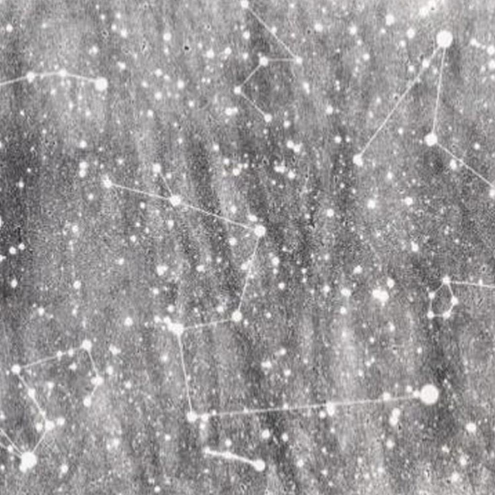 supports litography style art calmon stock 01b