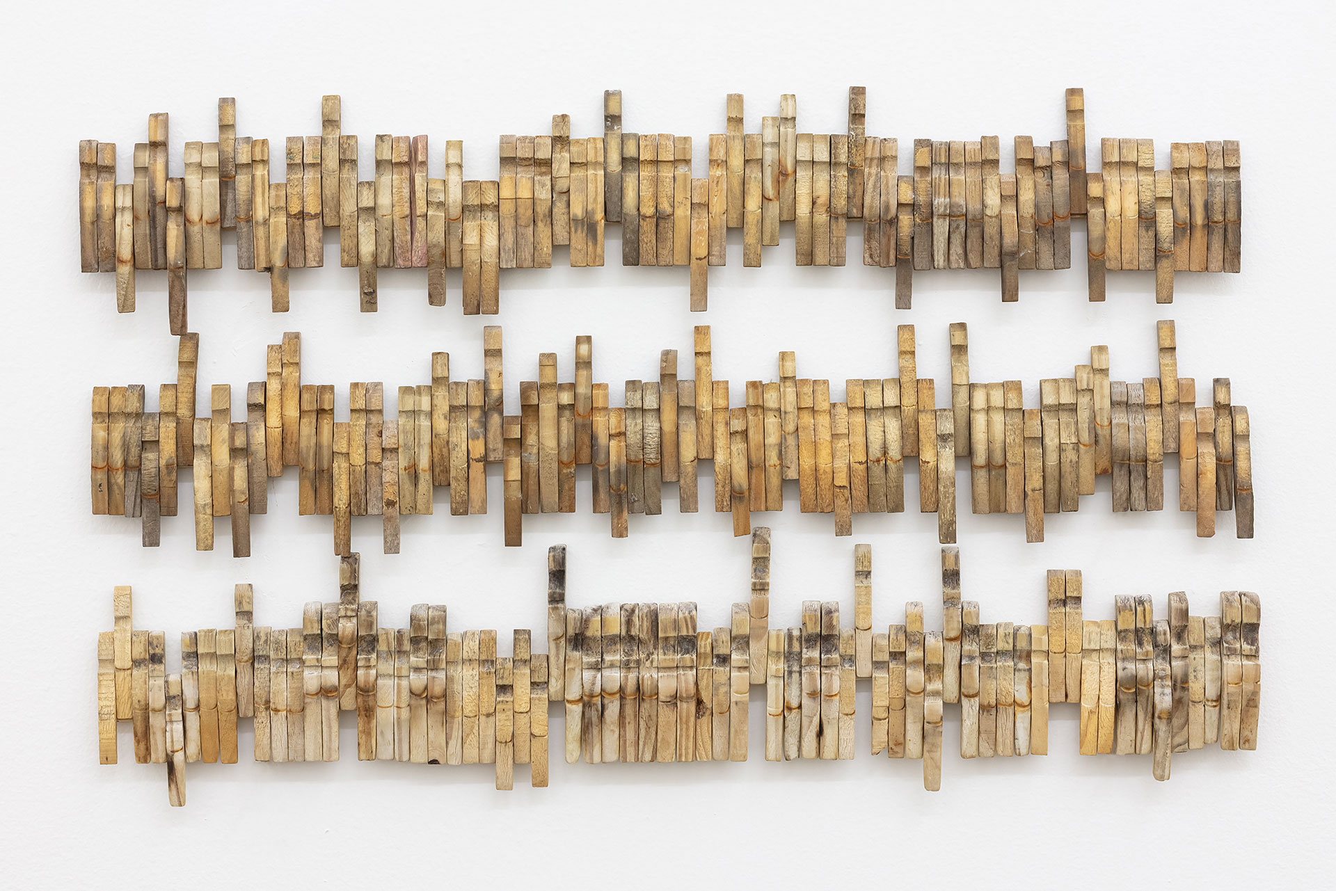 Alexandre Nitzsche Cysne A 01a